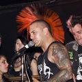 Click to enlarge GutterPunk - Professional Concert Photography